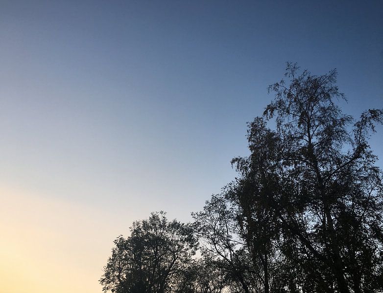 Winterse Zonsopkomst van See Like Me