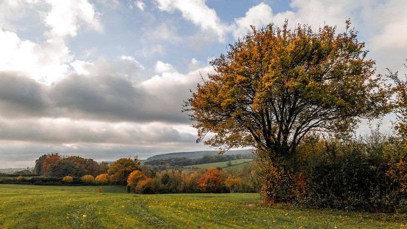 Landschap Epen, Zuid-Limburg van Visuals by Maurice