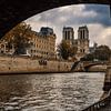 Notre Dame by Paul Poot