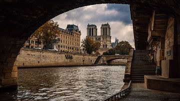 Notre Dame by Paul Poot