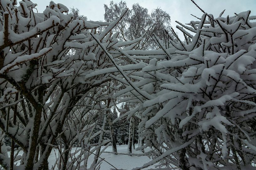 Winterlandschappen van Johnny Flash