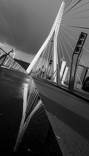 Erasmus Bridge, Rotterdam