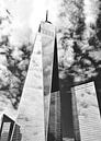 New York, NYC, Brooklyn, Manhattan, Dumbo, Empire State by Nikita Abakumov thumbnail