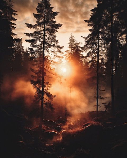 Het licht is aan van fernlichtsicht