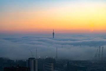 Rotterdam dans le brouillard