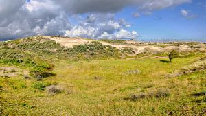 dune landscape of the coastal dunes by eric van der eijk