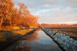 Chaleur et froid le long du fossé à Haarsteeg