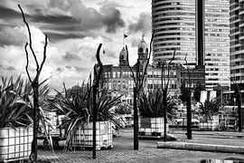 Hotel New York from the Paul Nijghkade by Annelies Martinot