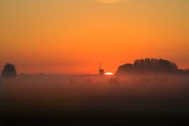 Cows hidden in fog by Wilco Bos