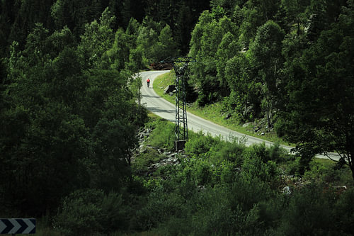 The lonely rider