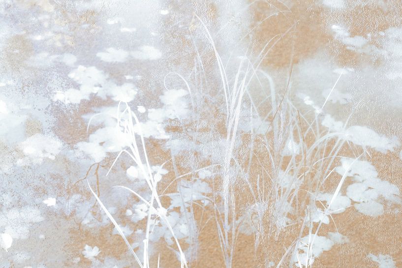 Wasser-Reflexionen von Diana Mets