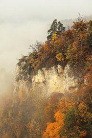 Een mistige herfstdag in het natuurreservaat Stiegelesfels boven Fridingen - Natuurpark Opper-Donau van BlattArt - Christine Horn