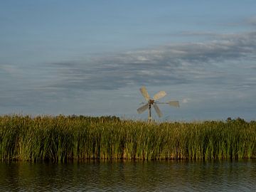Weather vane above the reeds by Michel Aalders