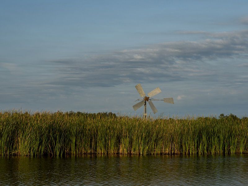 Wetterfahne über dem Schilf von Michel Aalders