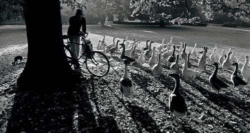 goedemorgen park clingendael