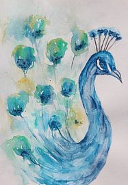 Proud as a peacock by Anja Zinken Bertens
