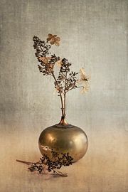 Hydrangea pride. Taupe. by Alie Ekkelenkamp
