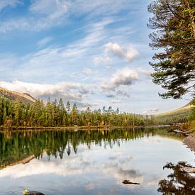 Reflectie op het Noorse gletsjerwater nabij Geiranger van Benjamien t'Kindt