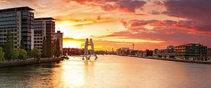 Berlin Panorama Molecule Man und Osthafen