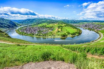 Blick auf die Mosel