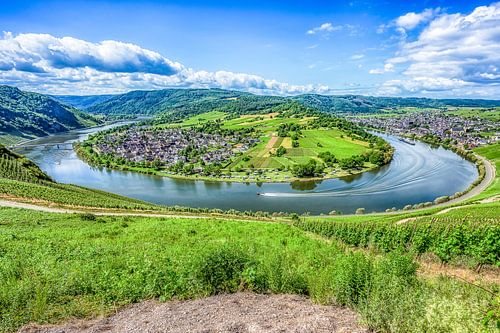 Blick auf die Mosel
