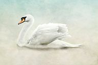 Elegant Swan Wall Art by Diana van Tankeren thumbnail