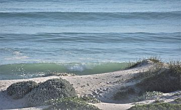 Dunes and sea in morning light by Werner Lehmann