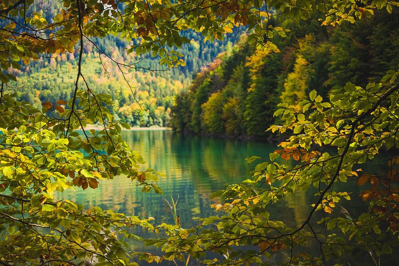 Herbst am Alpsee von Aurica Voss