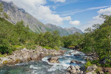 Krachtige rivier aan de voet van de Trollstigen van Danny Visser
