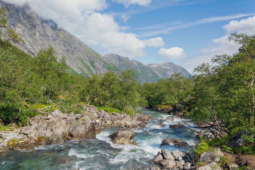 Krachtige rivier aan de voet van de Trollstigen van Danny Visser