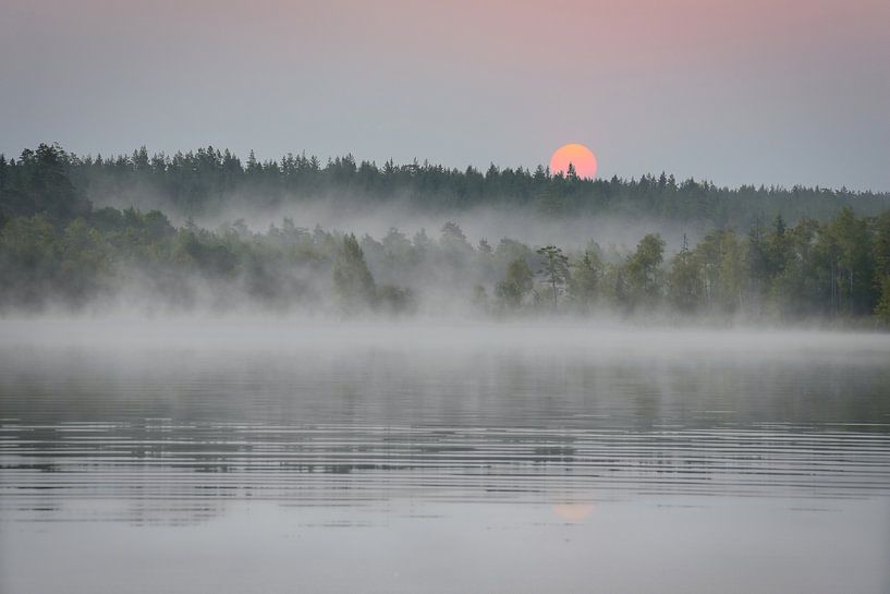 Lune avec formation de brouillard au-dessus d'un lac en Suède, à l'aube par Martin Köbsch