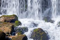 Wildes Wasser