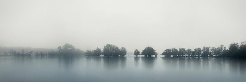 Rhythm of trees van Rob Visser