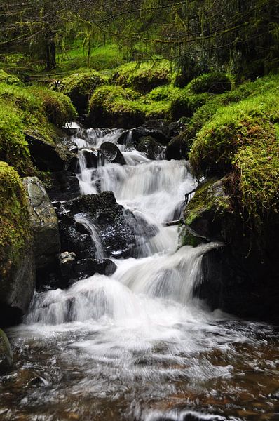 ruisseau coulant par sofie van den Nouland