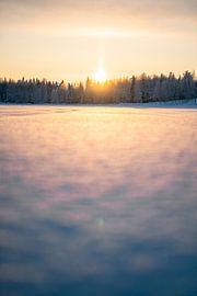 Zonsopgang in Winter Wonderland van Leo Schindzielorz