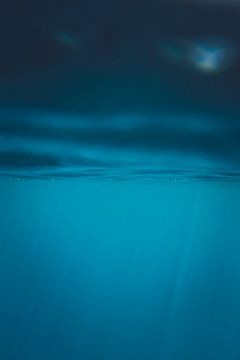 Underwater by Andy Troy