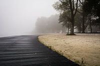 Mist boven het meer