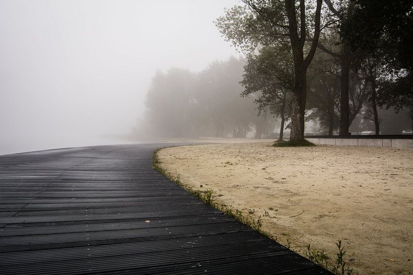 Mist boven het meer par Gert Brink