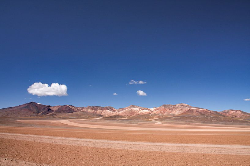 Salvador Dali Woestijn in Bolivia van Erwin Blekkenhorst