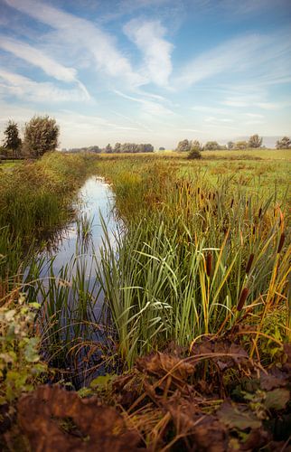 Ditch in Empel