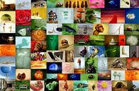 Kinderwandgestaltungstapete by Heike Hultsch thumbnail