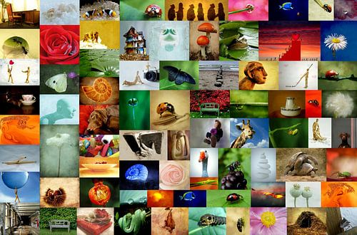 Kinderwandgestaltungstapete