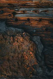 Rust by Debby de Graaff