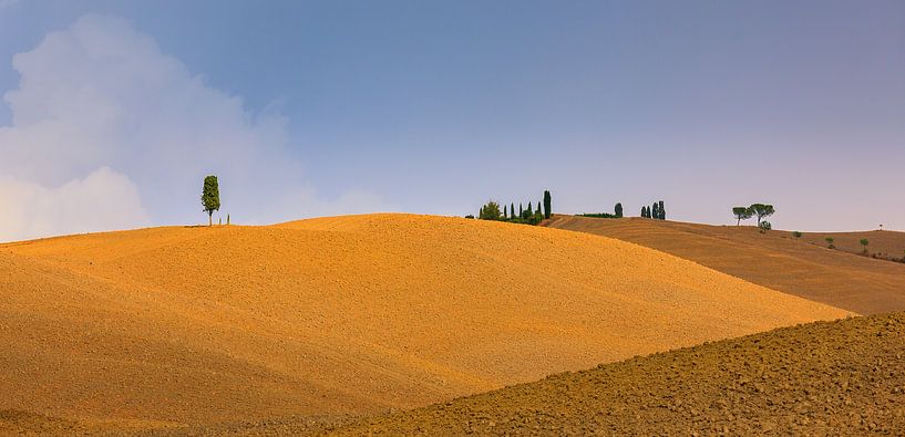 Cypress trees in the Crete Senesi in Tuscany by Henk Meijer Photography