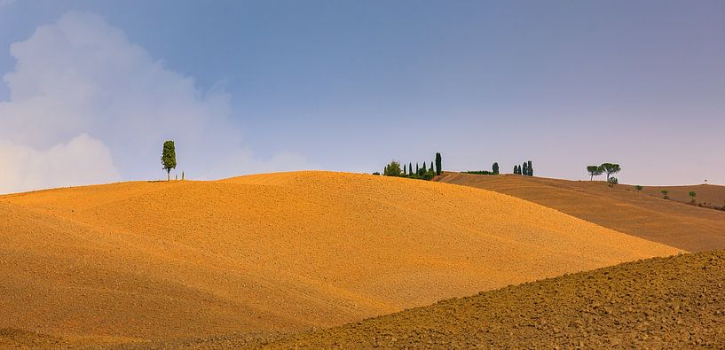 Zypressen in der Crete Senesi in der Toskana von Henk Meijer Photography