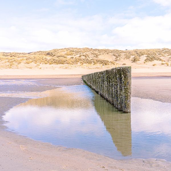 Reflection by Annette Prinssen