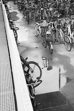 Cycling in the city by Miranda van Triest