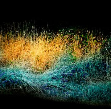 Wavy grass by Corinne Welp
