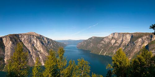 Aurlandsfjord in Noorwegen tijdens de zomer