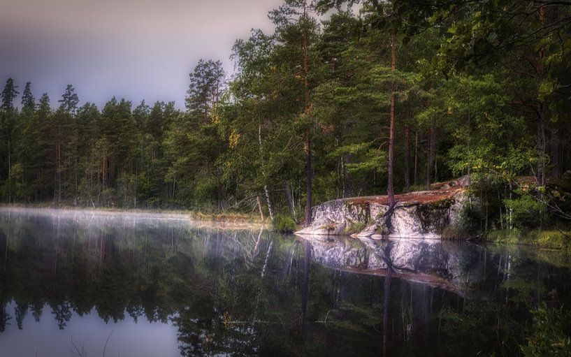 Une belle matinée tranquille dans une belle forêt par Mart Houtman